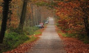 25671 Wandeling Lonnekerberg 06 11 11 001