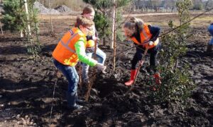 257084 Boomplantdag 1