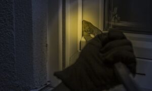 258318 burglar 1678883 640 1