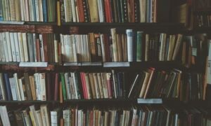258604 bookcase 1869616 640