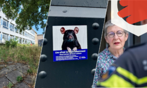 260108 vragenlijst met logo