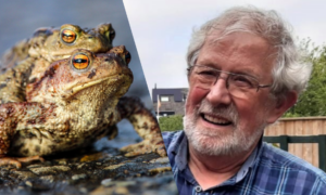 260228 adri schols pad