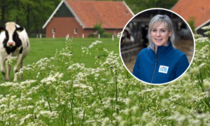 260302 lto noord gaby