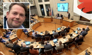 260324 de wilde logo