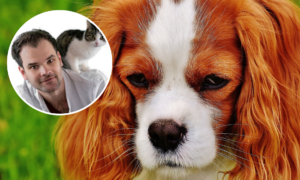 260508 dierenarts