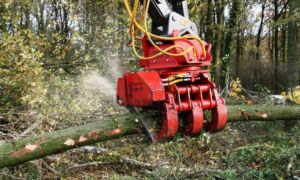 26446 Houtgrijper kettingzaag Onno Bruins 4