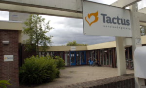 270182 Tactus