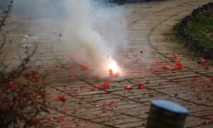 270840 firecracker 17163 1920 1