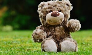 272852 knuffel