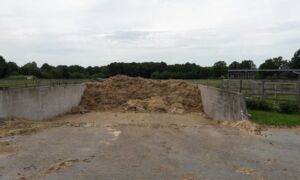 277793 paardenmest