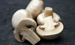 279237 fungi 2044114 1920