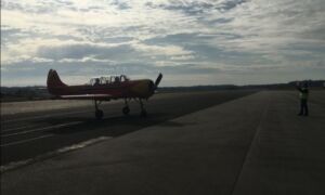 279698 fly in