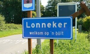 29054 Lonneker