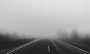 294692 road fog foggy mist