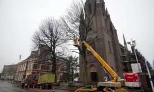 295066 download 15 1