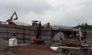 295091 download 19 1