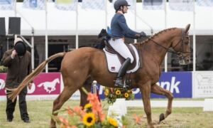 297403 alice naber lozeman