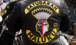 299855 satudarah