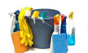 29999 schoonmaak poetsvrouw