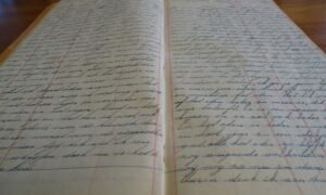 301338 Dagboek