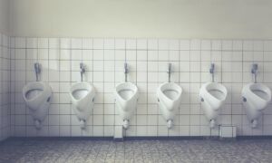 303498 toilet 1542514 1920