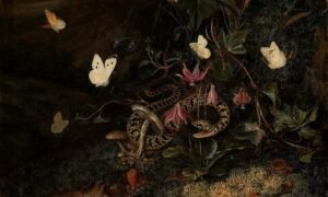 303588 rijksmuseum 5