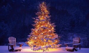 30521 mooie brandende kerstboom buiten in de sneeuw hd kerst wallpaper