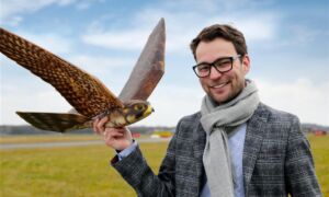 311214 Robird foto