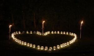 31209 foto 4