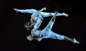 31249 circusfestival