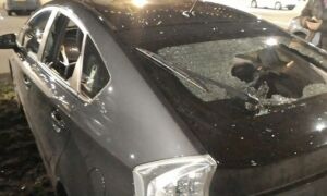 314908 download 154