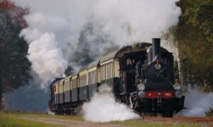 31502 Mbs1