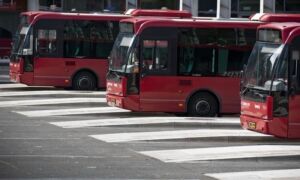 316181 bus 2