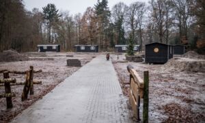 323817 paradijsvogelwoningen
