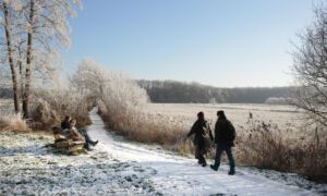 3248 Wandelaars genieten van het winterse Reestdal fotograaf Ruud Ploeg