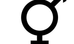 324948 Transgenders