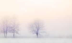 325534 winter landscape 2571788 1920