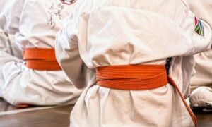 326155 martial arts
