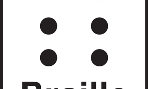 329492 radio braille