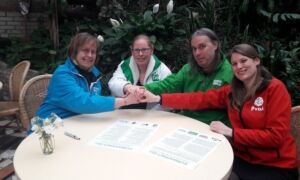 331315 groene coalitie
