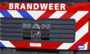 333178 brand 4