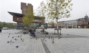 335197 image 3 5