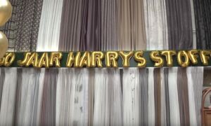 336947 50 jaar harry