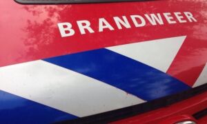 336963 brand 8