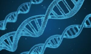 339183 dna 1811955 960 720