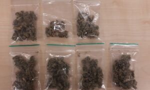 341078 drugs gronau