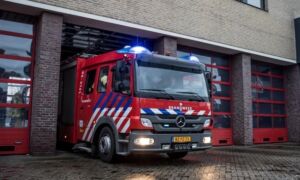 345488 brand 10