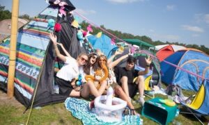 345617 freshtival 2