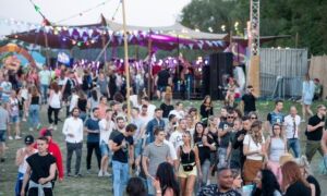 345876 freshtival 3