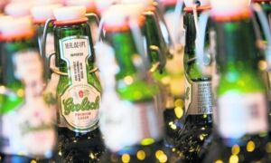 348077 grolsch 15